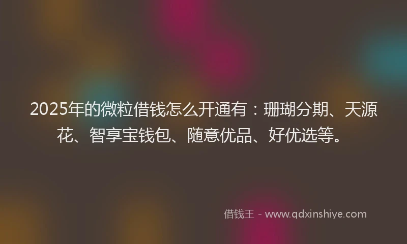 2025年的微粒借钱怎么开通有：珊瑚分期、天源花、智享宝钱包、随意优品、好优选等。