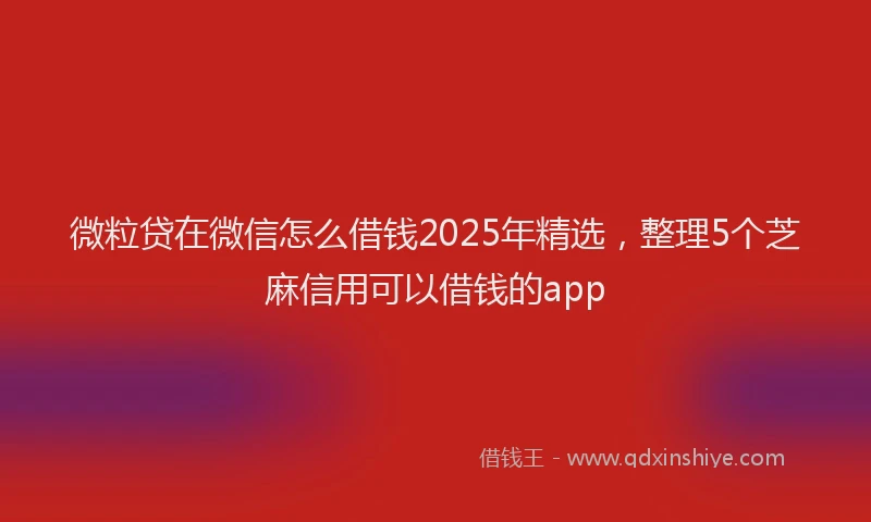 微粒贷在微信怎么借钱2025年精选，整理5个芝麻信用可以借钱的app