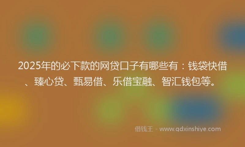 2025年的必下款的网贷口子有哪些有：钱袋快借、臻心贷、甄易借、乐借宝融、智汇钱包等。