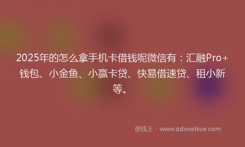 2025年的怎么拿手机卡借钱呢微信有：汇融Pro+钱包、小金鱼、小赢卡贷、快易借速贷、租小新等。