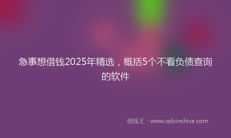 急事想借钱2025年精选，概括5个不看负债查询的软件