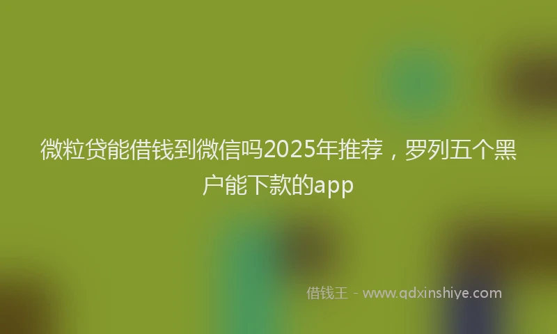 微粒贷能借钱到微信吗2025年推荐，罗列五个黑户能下款的app