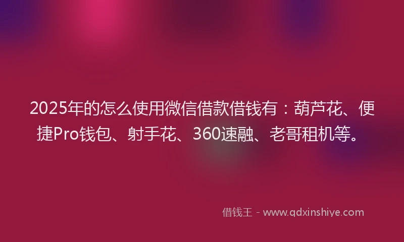 2025年的怎么使用微信借款借钱有：葫芦花、便捷Pro钱包、射手花、360速融、老哥租机等。