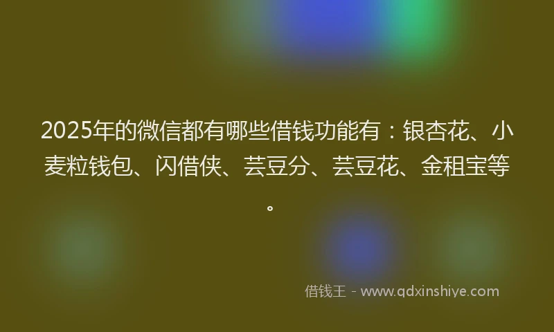 2025年的微信都有哪些借钱功能有：银杏花、小麦粒钱包、闪借侠、芸豆分、芸豆花、金租宝等。