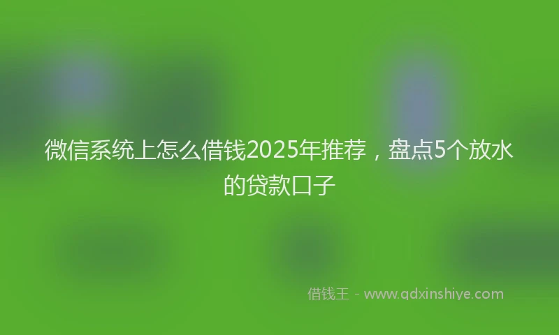 微信系统上怎么借钱2025年推荐，盘点5个放水的贷款口子