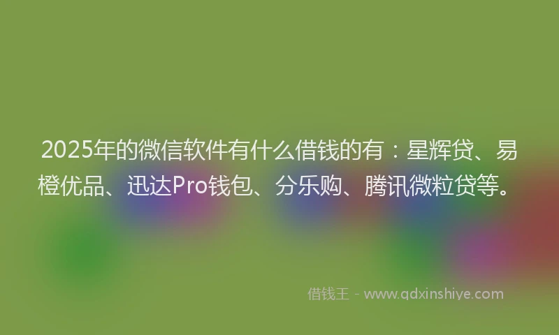 2025年的微信软件有什么借钱的有：星辉贷、易橙优品、迅达Pro钱包、分乐购、腾讯微粒贷等。