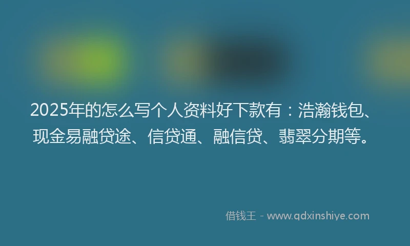 2025年的怎么写个人资料好下款有：浩瀚钱包、现金易融贷途、信贷通、融信贷、翡翠分期等。