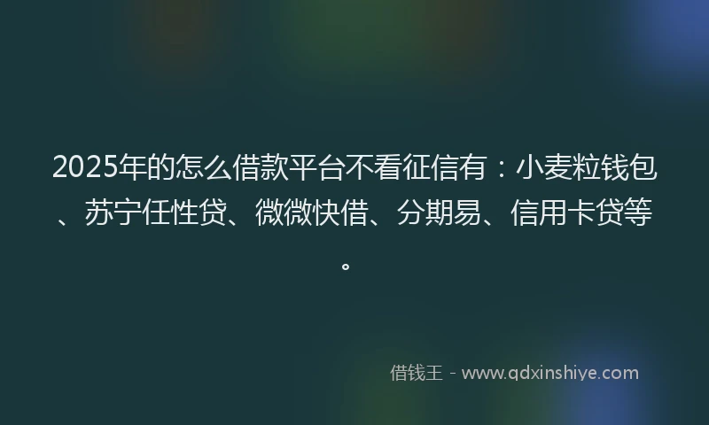 2025年的怎么借款平台不看征信有：小麦粒钱包、苏宁任性贷、微微快借、分期易、信用卡贷等。