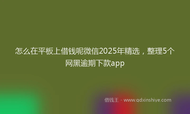 怎么在平板上借钱呢微信2025年精选，整理5个网黑逾期下款app
