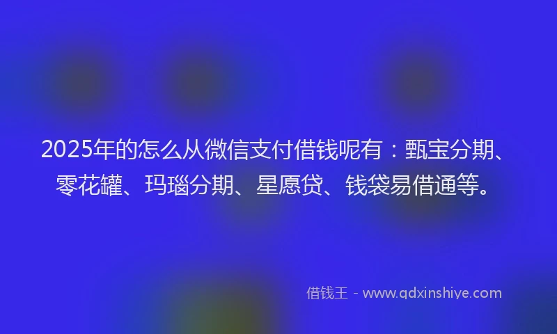 2025年的怎么从微信支付借钱呢有：甄宝分期、零花罐、玛瑙分期、星愿贷、钱袋易借通等。