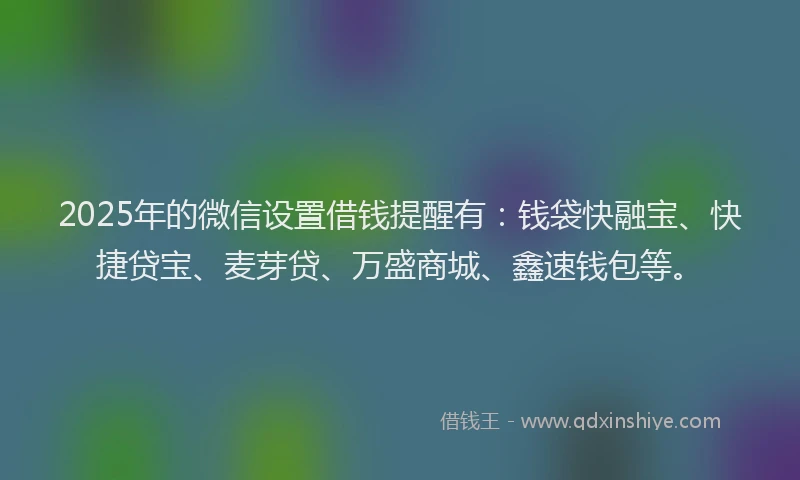 2025年的微信设置借钱提醒有：钱袋快融宝、快捷贷宝、麦芽贷、万盛商城、鑫速钱包等。
