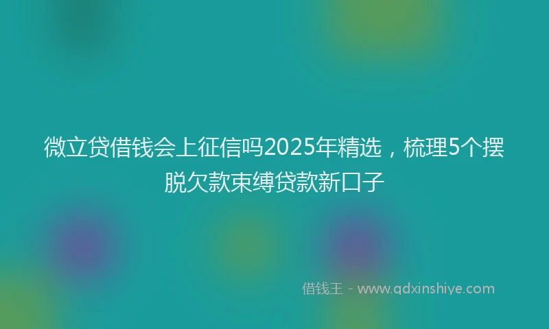 微立贷借钱会上征信吗2025年精选，梳理5个摆脱欠款束缚贷款新口子