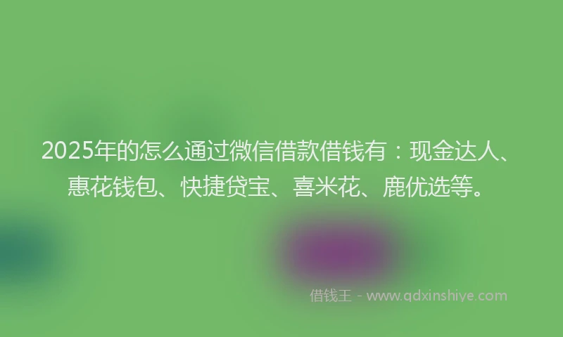 2025年的怎么通过微信借款借钱有：现金达人、惠花钱包、快捷贷宝、喜米花、鹿优选等。