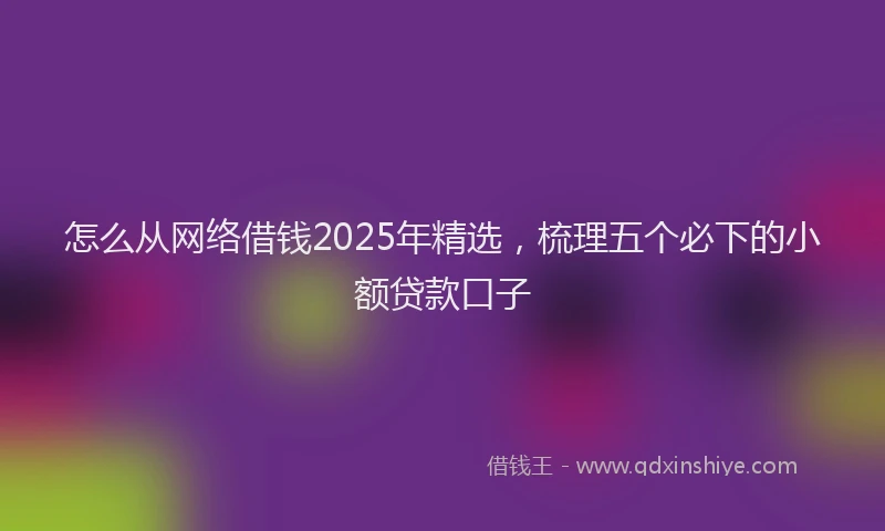 怎么从网络借钱2025年精选，梳理五个必下的小额贷款口子
