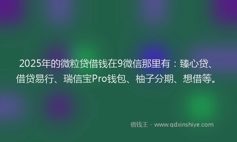 2025年的微粒贷借钱在9微信那里有：臻心贷、借贷易行、瑞信宝Pro钱包、柚子分期、想借等。