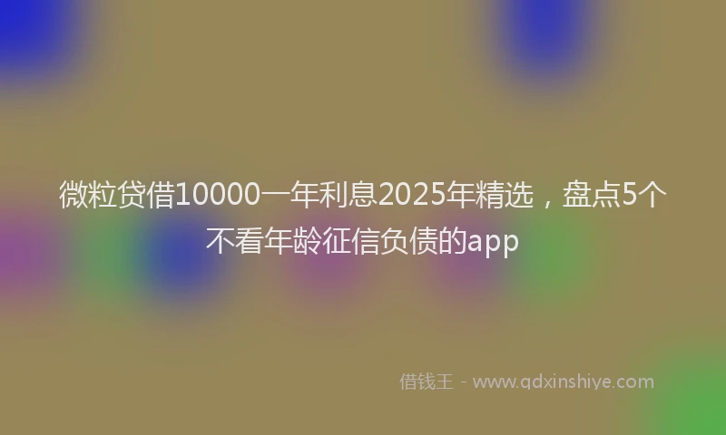 微粒贷借10000一年利息2025年精选，盘点5个不看年龄征信负债的app