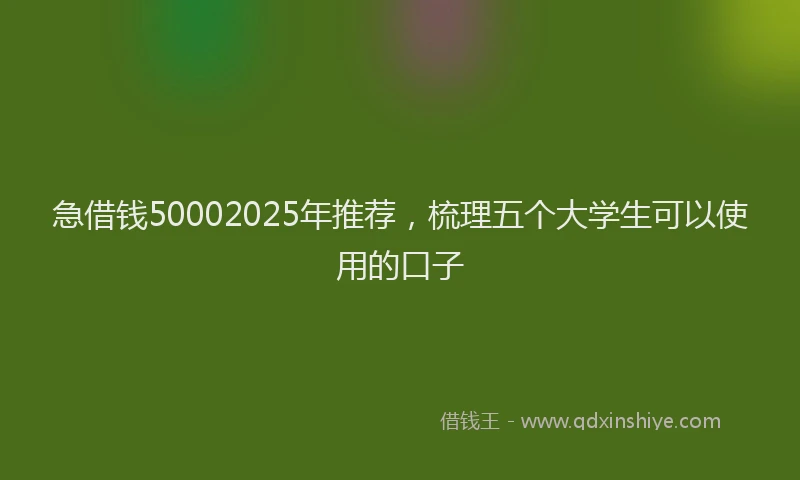 急借钱50002025年推荐，梳理五个大学生可以使用的口子