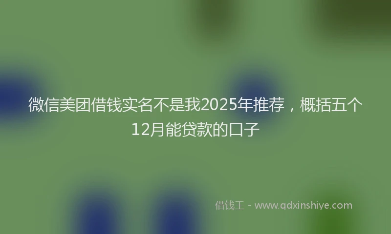 微信美团借钱实名不是我2025年推荐，概括五个12月能贷款的口子