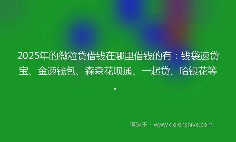 2025年的微粒贷借钱在哪里借钱的有：钱袋速贷宝、金速钱包、森森花呗通、一起贷、哈银花等。