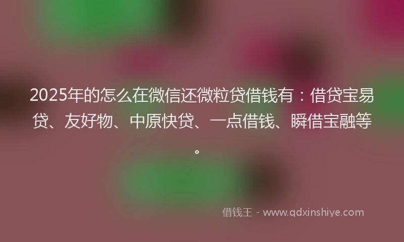 2025年的怎么在微信还微粒贷借钱有：借贷宝易贷、友好物、中原快贷、一点借钱、瞬借宝融等。