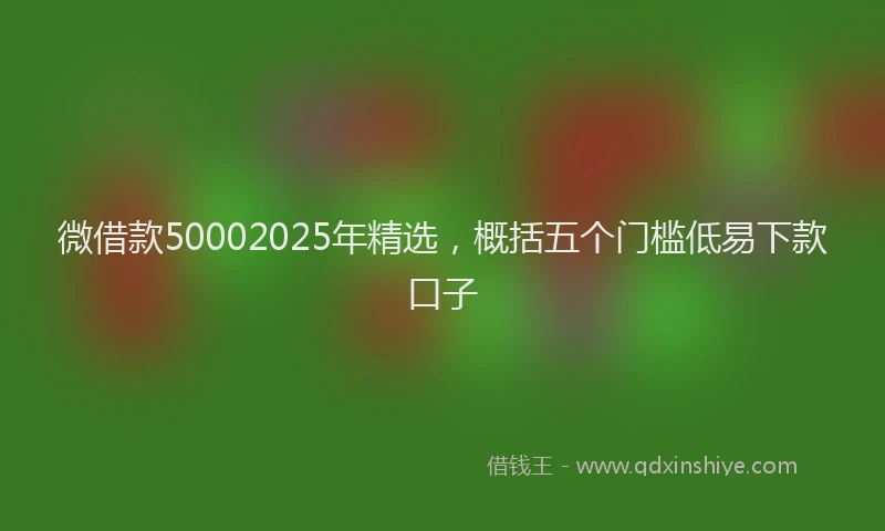 微借款50002025年精选，概括五个门槛低易下款口子