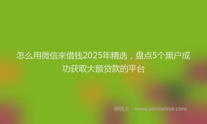怎么用微信来借钱2025年精选，盘点5个黑户成功获取大额贷款的平台