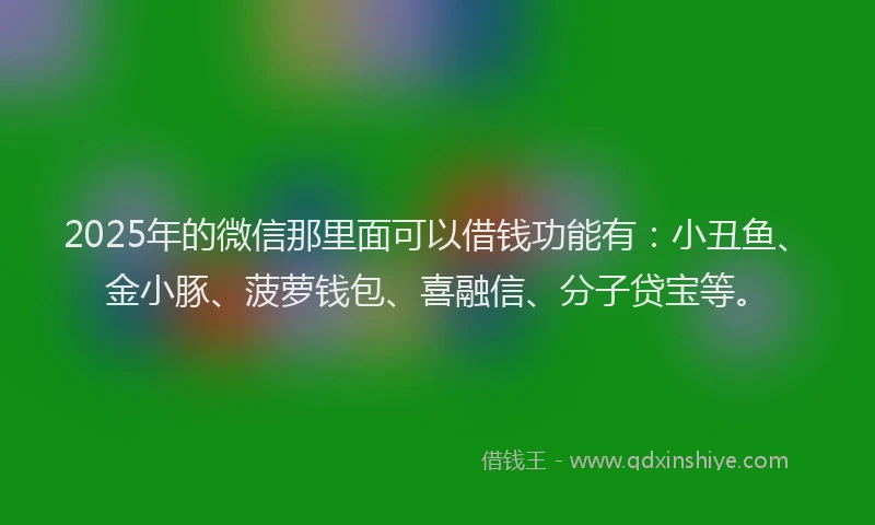 2025年的微信那里面可以借钱功能有：小丑鱼、金小豚、菠萝钱包、喜融信、分子贷宝等。