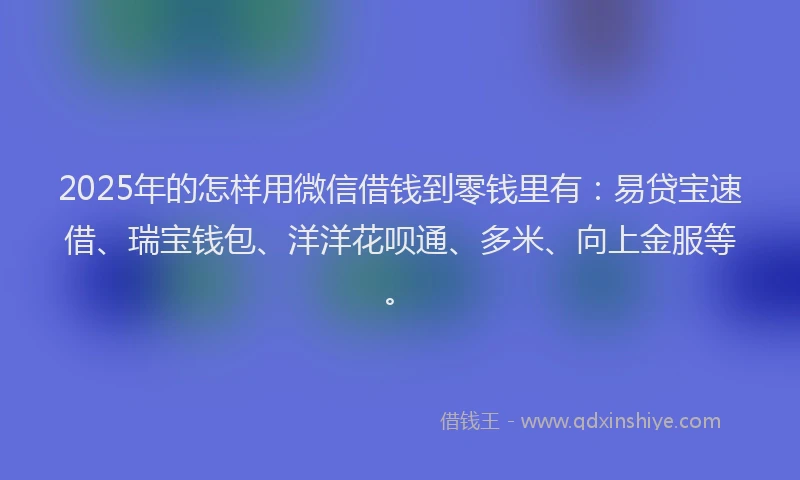 2025年的怎样用微信借钱到零钱里有：易贷宝速借、瑞宝钱包、洋洋花呗通、多米、向上金服等。