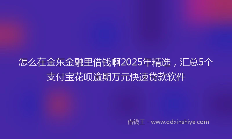 怎么在金东金融里借钱啊2025年精选，汇总5个支付宝花呗逾期万元快速贷款软件