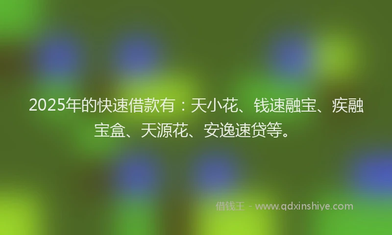2025年的快速借款有：天小花、钱速融宝、疾融宝盒、天源花、安逸速贷等。