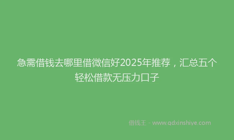 急需借钱去哪里借微信好2025年推荐，汇总五个轻松借款无压力口子