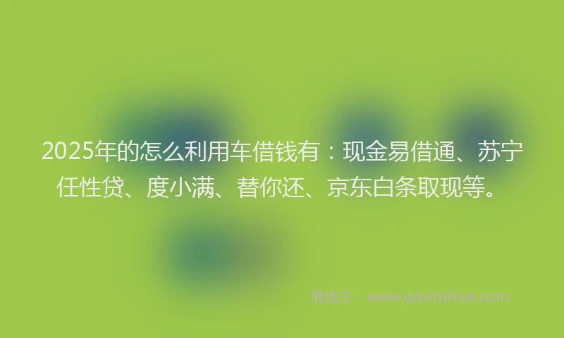 2025年的怎么利用车借钱有：现金易借通、苏宁任性贷、度小满、替你还、京东白条取现等。