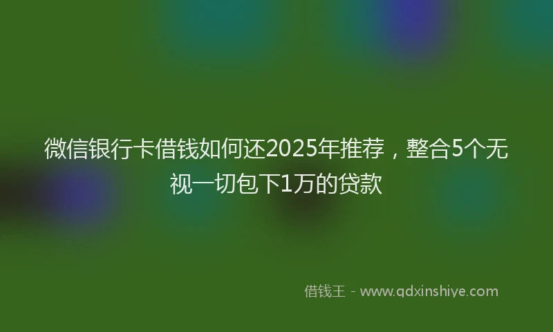 微信银行卡借钱如何还2025年推荐，整合5个无视一切包下1万的贷款