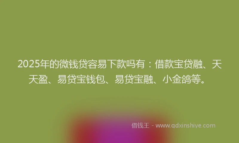 2025年的微钱贷容易下款吗有：借款宝贷融、天天盈、易贷宝钱包、易贷宝融、小金鸽等。