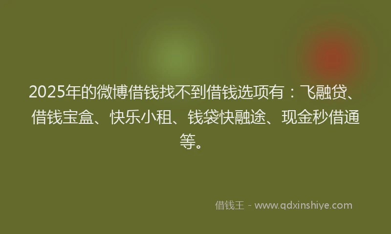 2025年的微博借钱找不到借钱选项有：飞融贷、借钱宝盒、快乐小租、钱袋快融途、现金秒借通等。