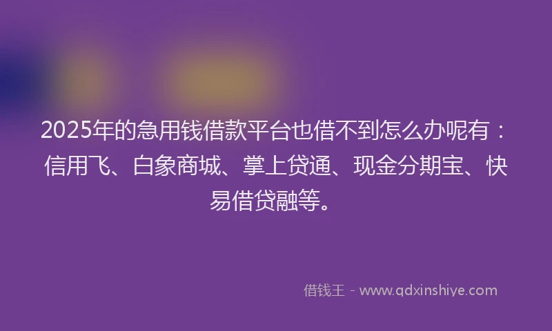2025年的急用钱借款平台也借不到怎么办呢有：信用飞、白象商城、掌上贷通、现金分期宝、快易借贷融等。