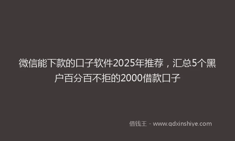 微信能下款的口子软件2025年推荐，汇总5个黑户百分百不拒的2000借款口子