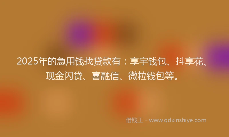 2025年的急用钱找贷款有：享宇钱包、抖享花、现金闪贷、喜融信、微粒钱包等。