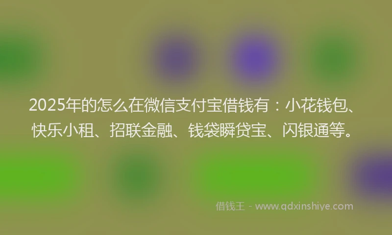 2025年的怎么在微信支付宝借钱有：小花钱包、快乐小租、招联金融、钱袋瞬贷宝、闪银通等。