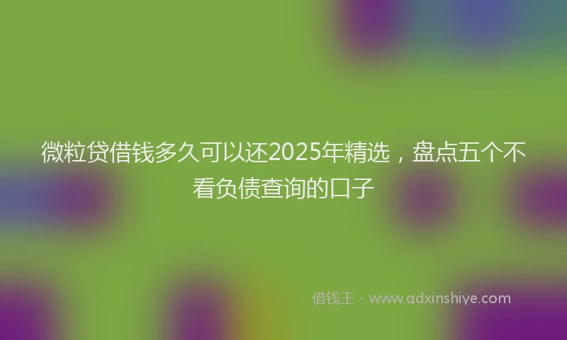 微粒贷借钱多久可以还2025年精选，盘点五个不看负债查询的口子
