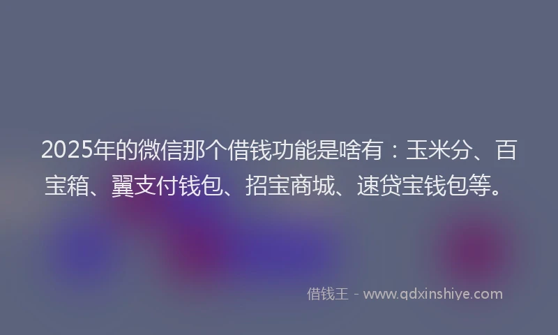 2025年的微信那个借钱功能是啥有：玉米分、百宝箱、翼支付钱包、招宝商城、速贷宝钱包等。