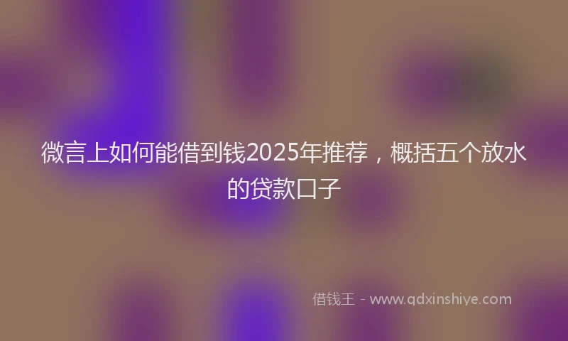 微言上如何能借到钱2025年推荐，概括五个放水的贷款口子