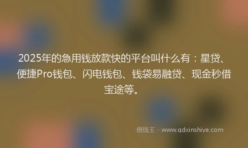 2025年的急用钱放款快的平台叫什么有：星贷、便捷Pro钱包、闪电钱包、钱袋易融贷、现金秒借宝途等。