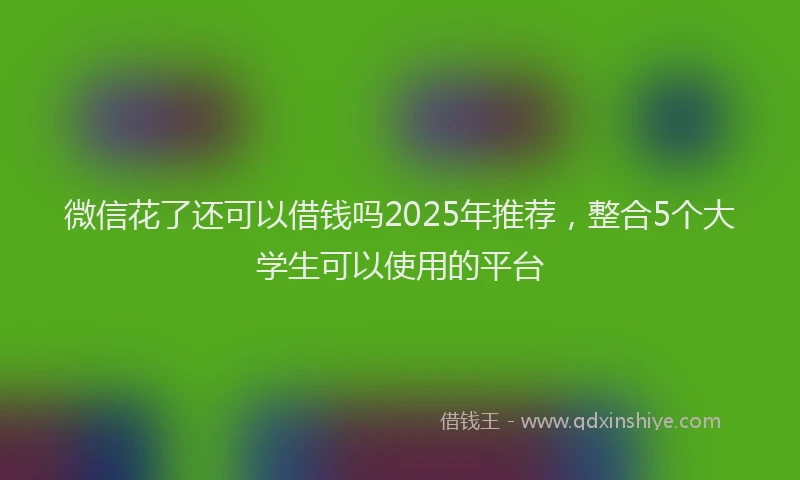 微信花了还可以借钱吗2025年推荐，整合5个大学生可以使用的平台