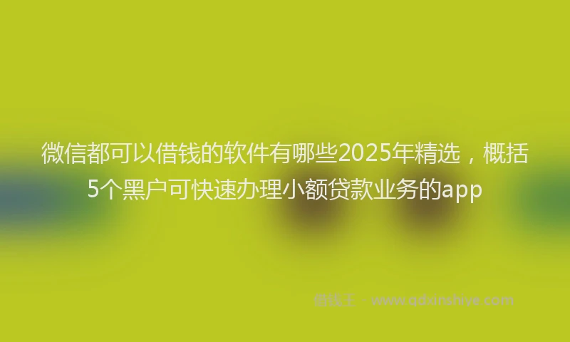 微信都可以借钱的软件有哪些2025年精选，概括5个黑户可快速办理小额贷款业务的app
