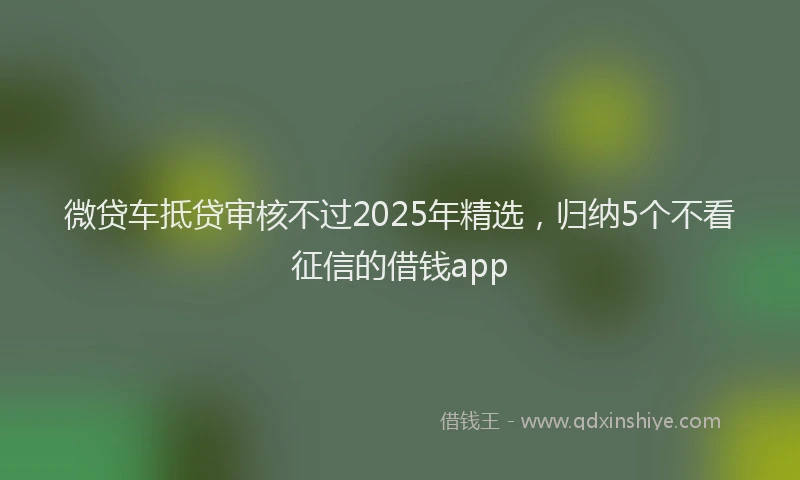 微贷车抵贷审核不过2025年精选，归纳5个不看征信的借钱app