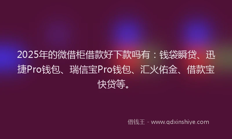2025年的微借柜借款好下款吗有：钱袋瞬贷、迅捷Pro钱包、瑞信宝Pro钱包、汇火佑金、借款宝快贷等。
