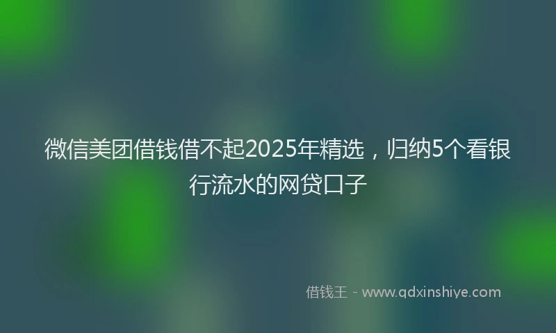 微信美团借钱借不起2025年精选，归纳5个看银行流水的网贷口子