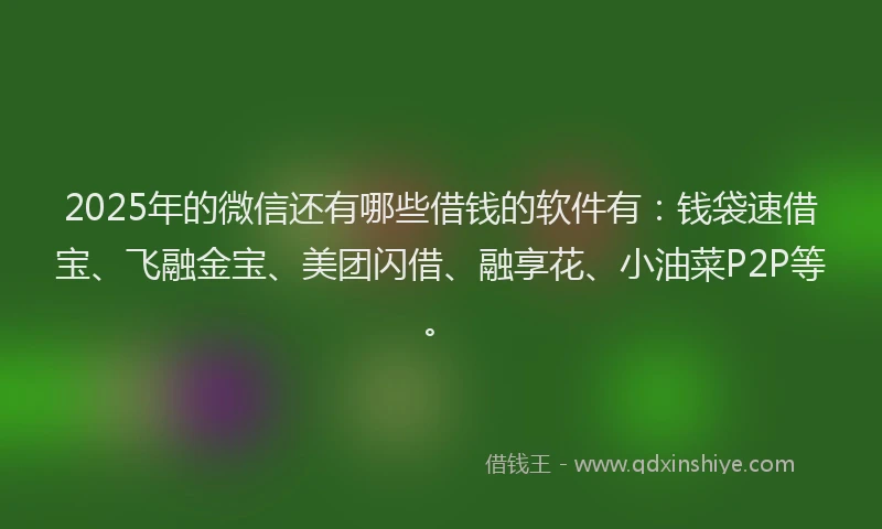2025年的微信还有哪些借钱的软件有：钱袋速借宝、飞融金宝、美团闪借、融享花、小油菜P2P等。