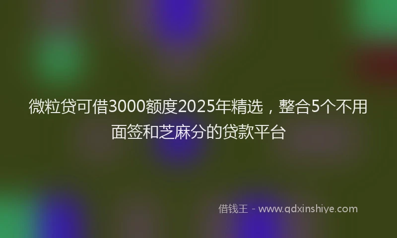 微粒贷可借3000额度2025年精选，整合5个不用面签和芝麻分的贷款平台